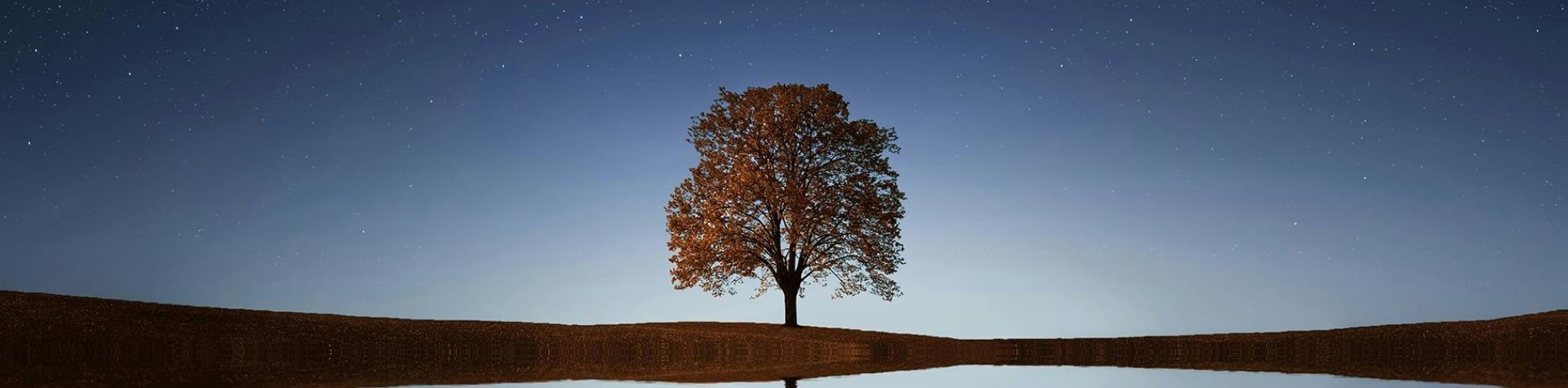 Serene night landscape with a solitary tree reflecting in calm waters beneath a starry sky.